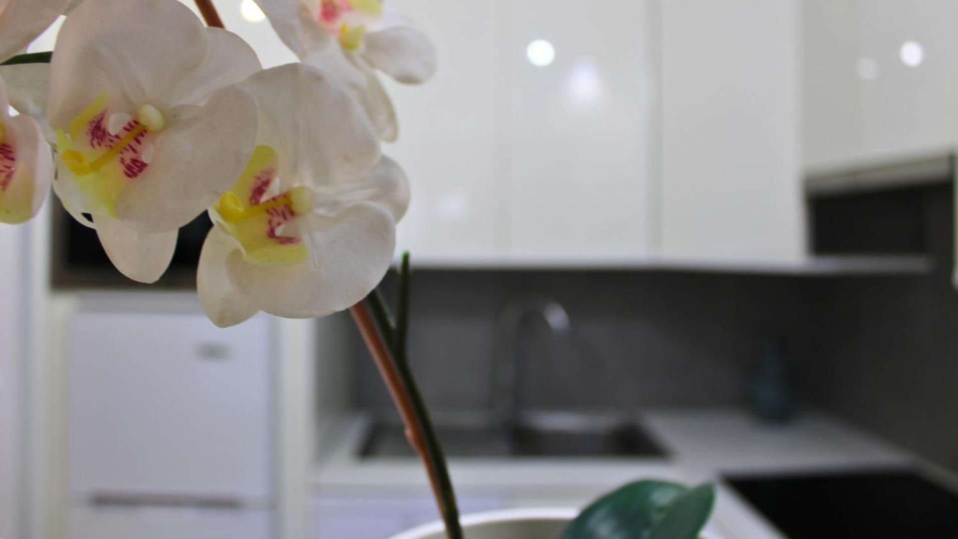 Markethome Mareverde Studio Costa Adeje  Zewnętrze zdjęcie